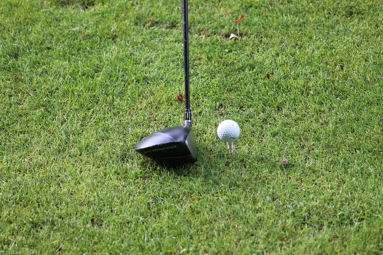 Guía de compra de palos y accesorios de golf, Cádiz