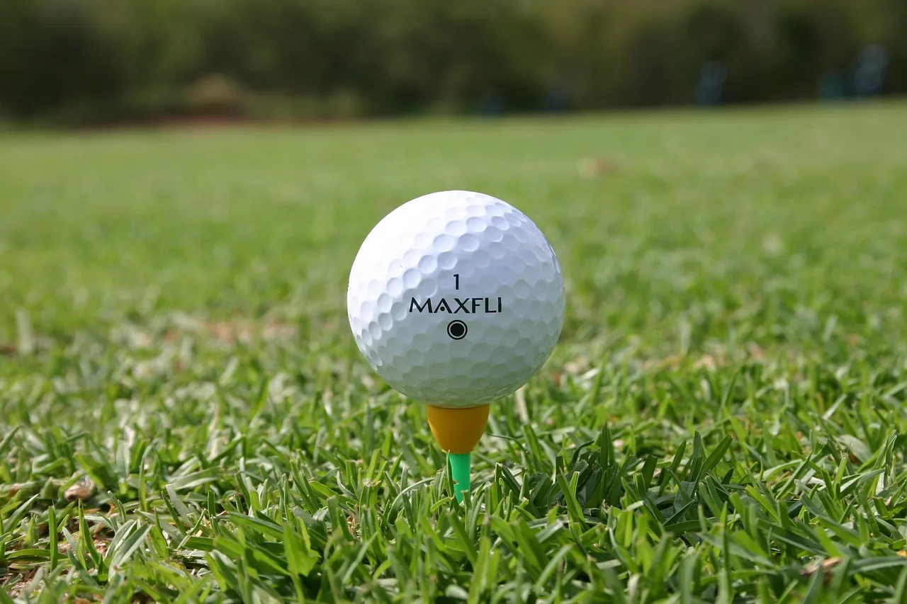 Como elegir la pelota de golf adecuada